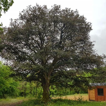 Gîtes du Chêne Vert Montignac-Lascaux Exterior foto